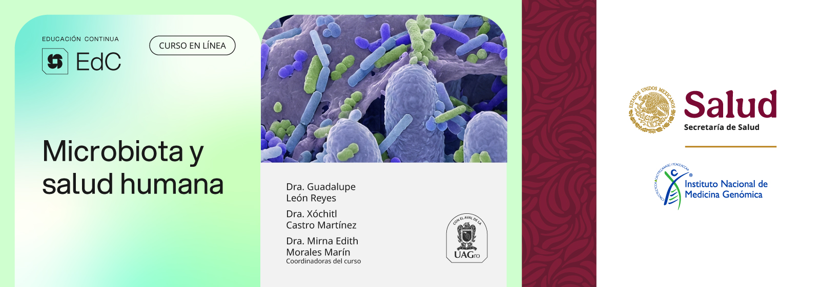 Consulta todos los cursos